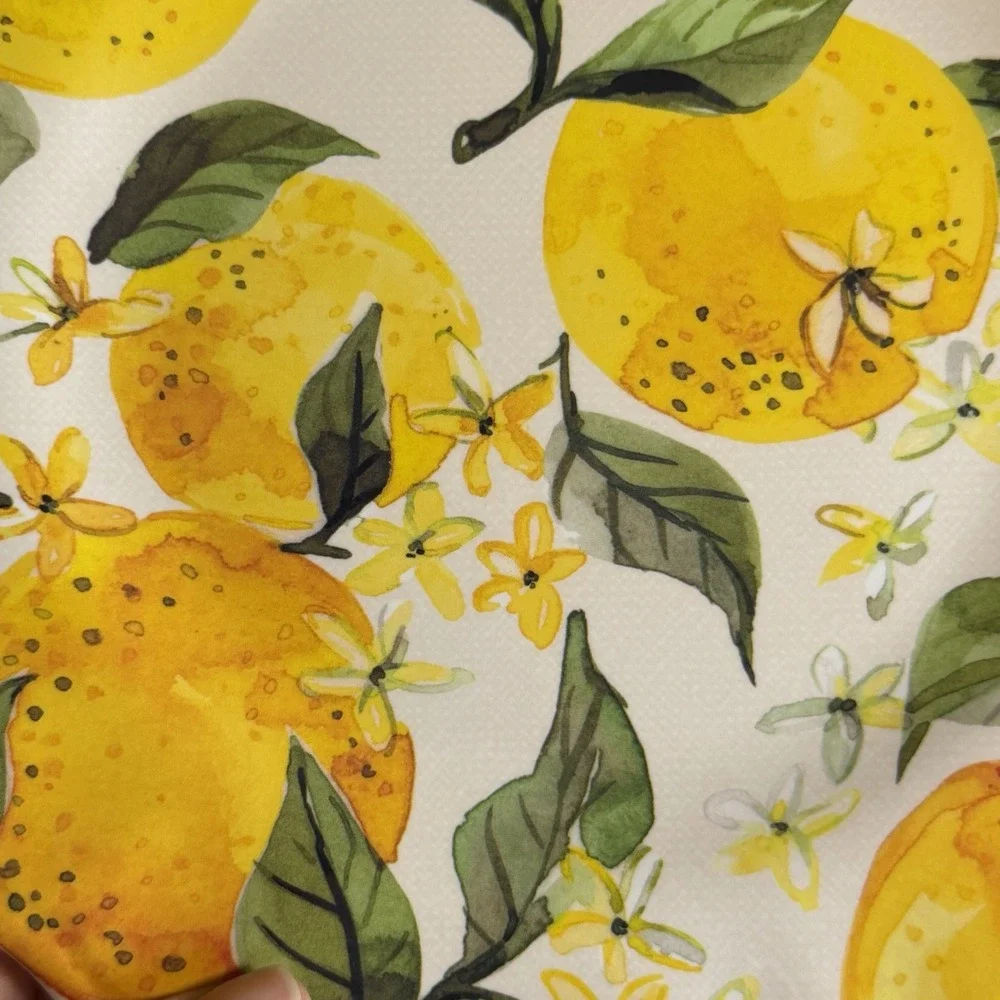 Wendy Bellissimo Italian Amalfi Lemon Branch Flower Melamine Salad Plates (4)